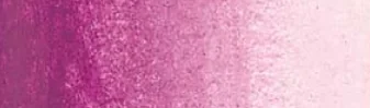 Purple Violet