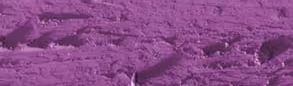 Aubergine