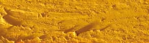 Golden Ochre