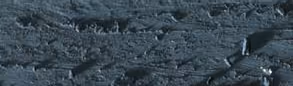 Greyish Black