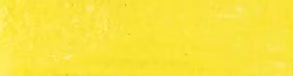 Canary Yellow