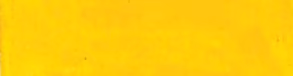 Golden Yellow