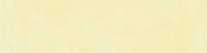 Light Lemon Yellow