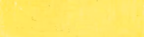 Naples Yellow