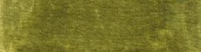 Olive Grey