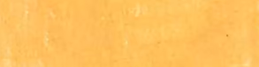 Orangish Yellow