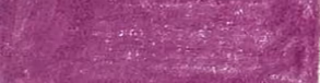 Purple Violet