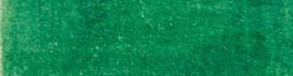 Spruce Green