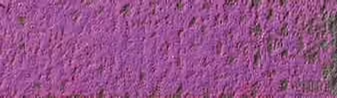 Aubergine