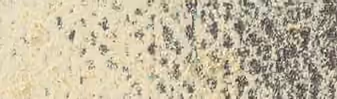 Brown Olive 10