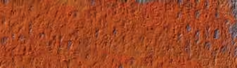 Medium Russet