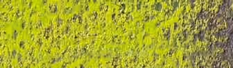 Mid Moss Green 10