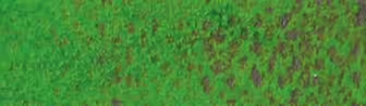 Mid Moss Green 30