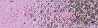 Ultramarine Pink