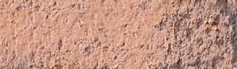 Warm Earth 5%