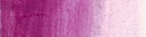 Purple Violet