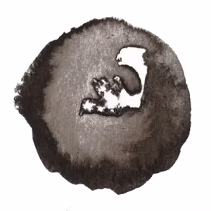 Liquid Indian Ink - textura