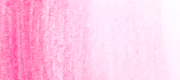 Rose Pink