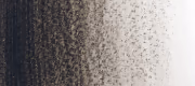 Autumn Grey