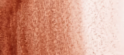 Cocoa