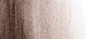 Warm Grey 5