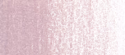 Dusky Rose