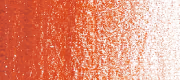 Burnt Orange